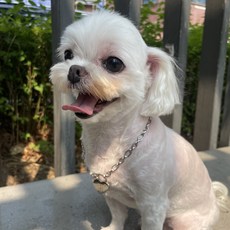 유기묘후원목걸이