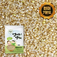 더부드러운 현미 쌀 (7분도미) 10kg (특가) 진공포장 엄마밥줘, 단품