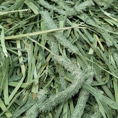 대용량 프리미엄 티모시건초, 1개, 500g