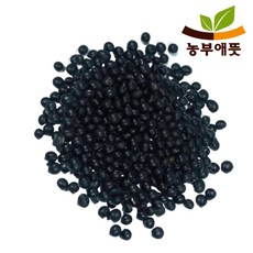 농부애뜻 국산 콩나물 콩 기르기 500g 검정 2022년산, 1개