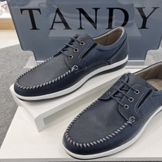 탠디보트