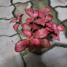 84e7da95c733f967b761551eb273f53e5c7814dbb90a0015790538e5f1bf.jpg