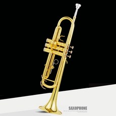 트럼펫 연습용 입문용 초급자 학생용 교육용 (고급캐리백포함), 골드색