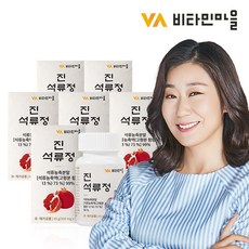 비타민마을 진 석류정