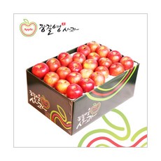 [장길영사과] 사과 소과 10kg(40~46과), 상세 설명 참조, 상세 설명 참조
