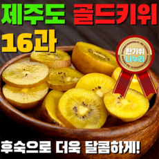 국내산 토마토 머스크메론 제주도골드키위 칠레산블루베리 페루애플망고 네이블오렌지 베트남용과 수박 과일 11종 과일골라담기 명절선물 추석 설 준비 가족건강식 건강과 감사한 마음 나누리, 제주도 골드키위, 16과