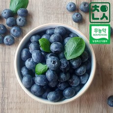 무농약블루베리-추천-상품