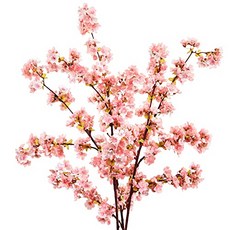 93497022be01154c51dbdfe5d154171df0ce1b8f99449f76ff39f27c6df0.jpg