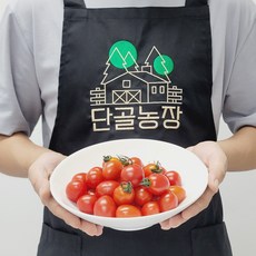 레플토마토