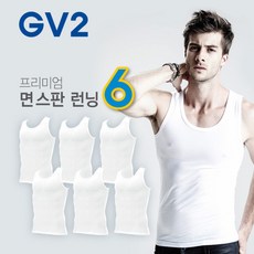 리코gv-2