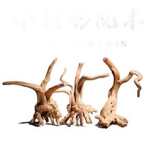 뿌리 파충류 개구리 은신처 어항 움푹 들어간 나무 가지 조경 티크 장식용 풍경, 진달래뿌리6-10cm4개