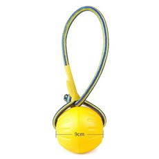 고무 공 애완 동물 강아지 훈련 씹을 소형중형 인터랙티브, 3.9cm Ball with rope, 1개