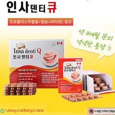 PDG 인사덴티큐 1 450mg x 120정 4개월분 1일 1정, 1450mg