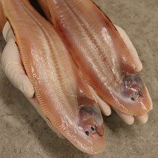 생박