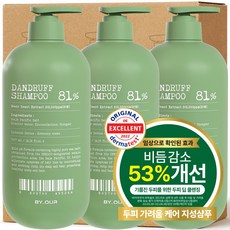 바이아우어 맥주효모 81만PPM 비듬 지성 탈모 샴푸, 3개, 1L