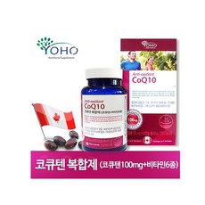 젠q