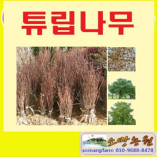 d6626169e17fb6aaeaf16cc1c01a765e90ef76051ca29073b5f32d7f7dee.png