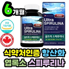 색색하루해초셀러드