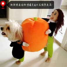 강아지 호박 옷 코스튬 코스프레 할로윈 옷 재미있는 애완견 악당옷, 펌킨_L등길이35-40cm 4.5-6kg