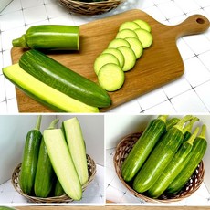 국내산 애호박 2kg-호박전 무침 볶음 조림 야채 채소 찌개, 1개