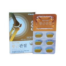 msm한약