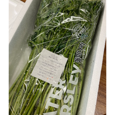 다이어트 채소 싱싱한 깨끗한 손질 미나리 나물 제철 돌미나리 세척 500g [원산지:국산(경기도 김포시) 등], 1박스