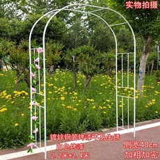 ab36b11161bc39d5150a70c6e1f66b5cadefebc2e8647a52aab3da913a81.jpg