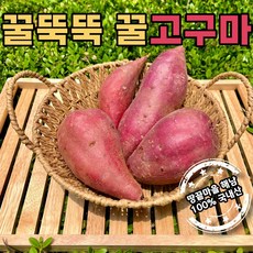 고구마5kg-추천-상품