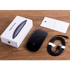 애플매직마우스2