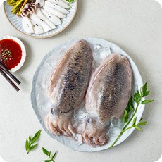 싱싱 갑오징어 당일바리(특대) 생물 갑오징어 1kg(2~3미)