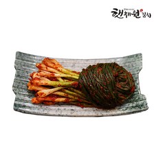 매일 담가 보내는 쪽파 김치 국산 전라도 파김치 3KG
