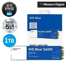 WD Blue SA510 SATA M.2 2280 SSD, WDS100T3B0B, 1TB