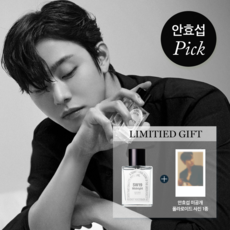 sw19향수