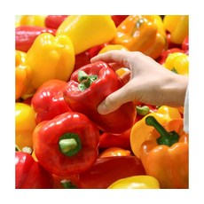 아삭달콤 국내산 파프리카 2kg, ONE COLOR, ONE SIZE