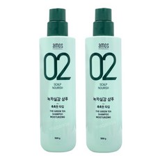 1+1 아모스프로페셔널 녹차실감 샴푸 500g 모이스처라이징 촉촉한타입