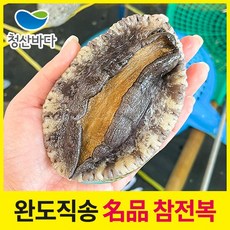 [청산바다] 완도 활전복 특대 7-8미 1.5kg (11-12마리), 1개