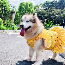 러프웨어쿨조끼