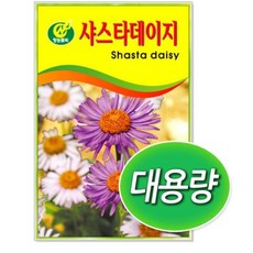 학교 화단조경 가든사업 샤스타데이지 씨앗 식물 키즈 주차장 고등, 1개