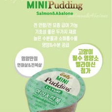 고양이약먹이기
