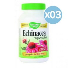 Nature's Way 네이처스웨이 에키네시아 허브 이뮨 서포트 180캡슐 3팩 Echinacea Herb, 3개, 180정