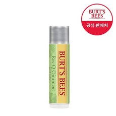 버츠비시카