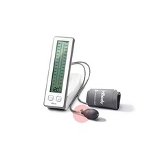 바겐슈타이거인바디