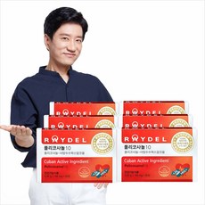 레이샤6