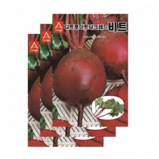 채소씨앗 - 비트씨앗 디트로이트다크레드 비트(5gx3), 3개