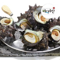 바다수산 통영 자연산 뿔소라1kg(중7~12미), 1개, 1kg