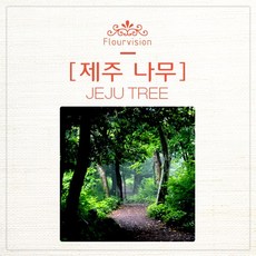제주향수만들기