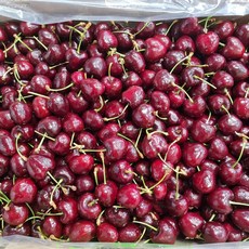 프리미엄 고당도 과일 수입 과일 특 생 체리 생과, 1개, 칠레산 체리 800g (26-28mm)
