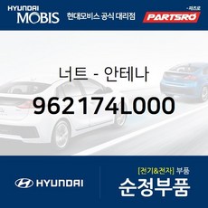 뉴카렌스안테나