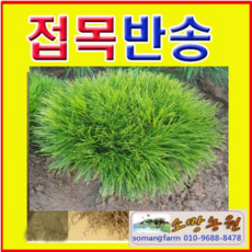 e8693f3dd77ed845bd623c9a1341c1b7e32b1004f85fad10e5e2ec2de400.png