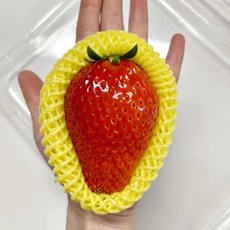 딸기중 최고의맛 친환경농법 논산 킹스베리 딸기, 1개, 750g(왕특)